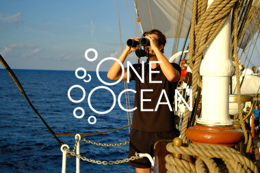 One Ocean Expedition - speider etter hval 