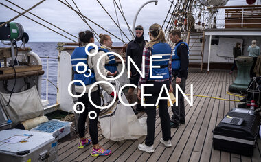 Skipet stanses for at forskerstudentene kan ta prøver med planktonhåv. Andrea Opshaug. 