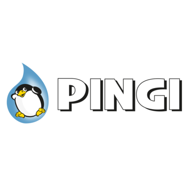 Pingi Logotype
