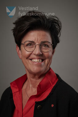Siri Sandvik, Ap -  fylkestingsrepresentant 2023–2027