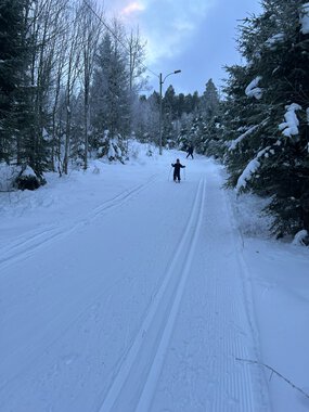 Skitur