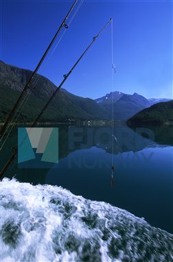 Fisking i Nordfjord