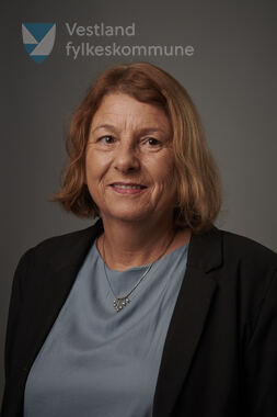Lillian Vangberg, Ap - fylkestingsrepresentant 2023–2027