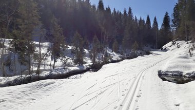 Fortsatt bra med snø i Finnemarka