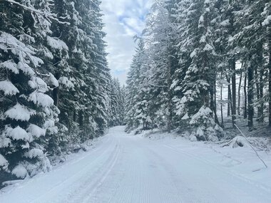 Vinterlig og fint mellom Movann, Tømte og Holmetjern