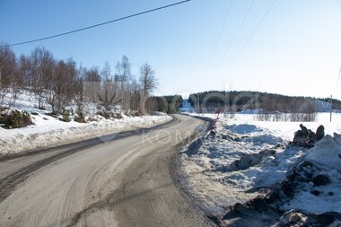 Veistikker ved Soløyvannsveien
