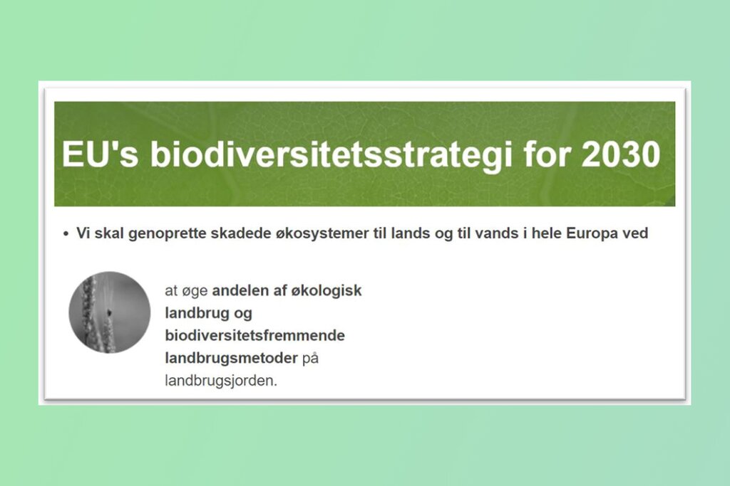 Fra EUs offisielle webside i dansk versjon, mai 2020.